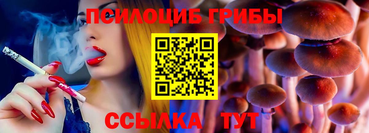 Галлюциногенные грибы мицелий  Вход с VPN  Псилоцибиновые грибы Cubensis  Изобильный 